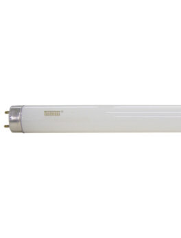 LAMPARA FLUOR TUB CONV/ELET 36W T8 6400K