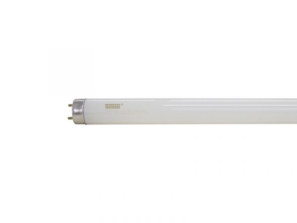 LAMPARA FLUOR TUB CONV/ELET 36W T8 6400K