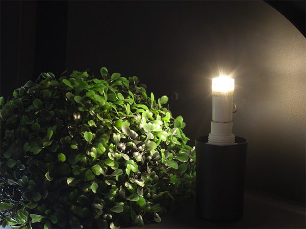 LÁMPARA LED BIPINO G9 25/3W 6500K - Imagen 2
