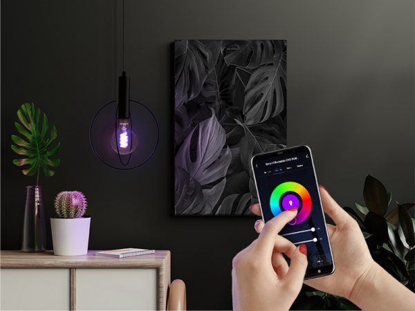 SMART FILAMENTO WI-FI LED TASCHIBRA 6W G95 RGB - Imagen 4