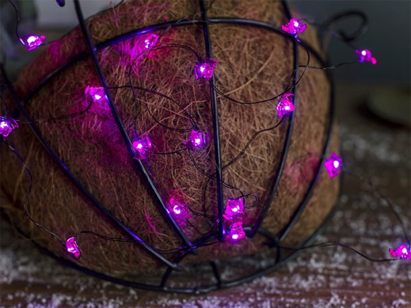 CADENA LED TASCHIBRA HALLOWEEN 10 MURCIÉLAGO MORADO 2XAA - Imagen 4