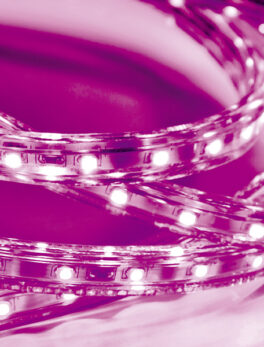FITA LED 5W 60 LEDS/M 20M 220V IP67 ROSA