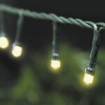 CORDON LUM 96 LED ESTAT ISOL VD 220V C/FEMEA 3000K