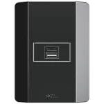 CONJUNTO TOMA USB 3A ENTRADA 110/240VAC 50/60HZ <0.3A SALIDA 5V POTENCIA 15W CON PLACA (41425H) - LÍNEA RAPID NEGRA